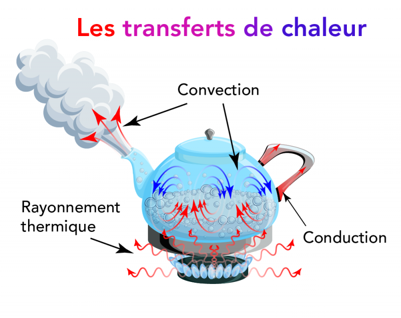Cours: CHEFFAR LOUIZA Course12